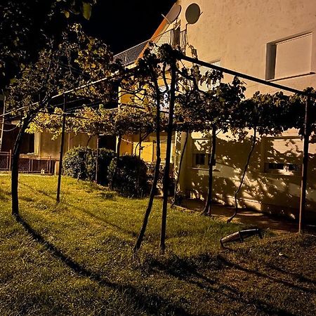 Entire Spacious Apartment With Free Parking Podgoriçe Dış mekan fotoğraf